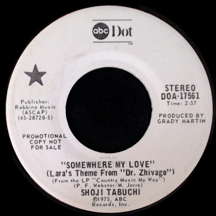 Shoji Tabuchi - Somewhere My Love (Lara's Theme From "Dr. Zhivago") / Devil's Dream side A