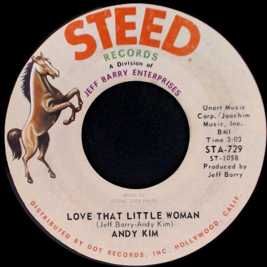 Andy Kim - Be My Baby / Love That Little Woman side B