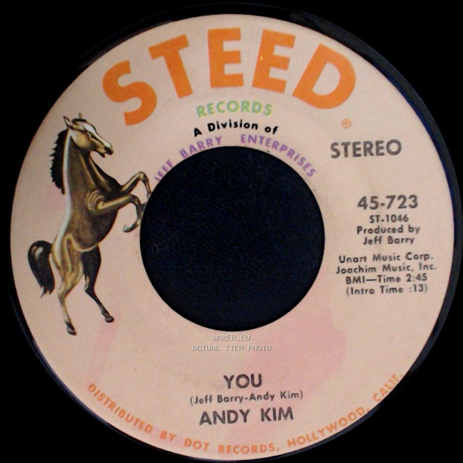 Andy Kim - A Friend In The City / You side B