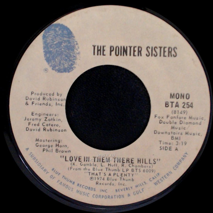 The Pointer Sisters - Love In Them There Hills / Fairytale side A