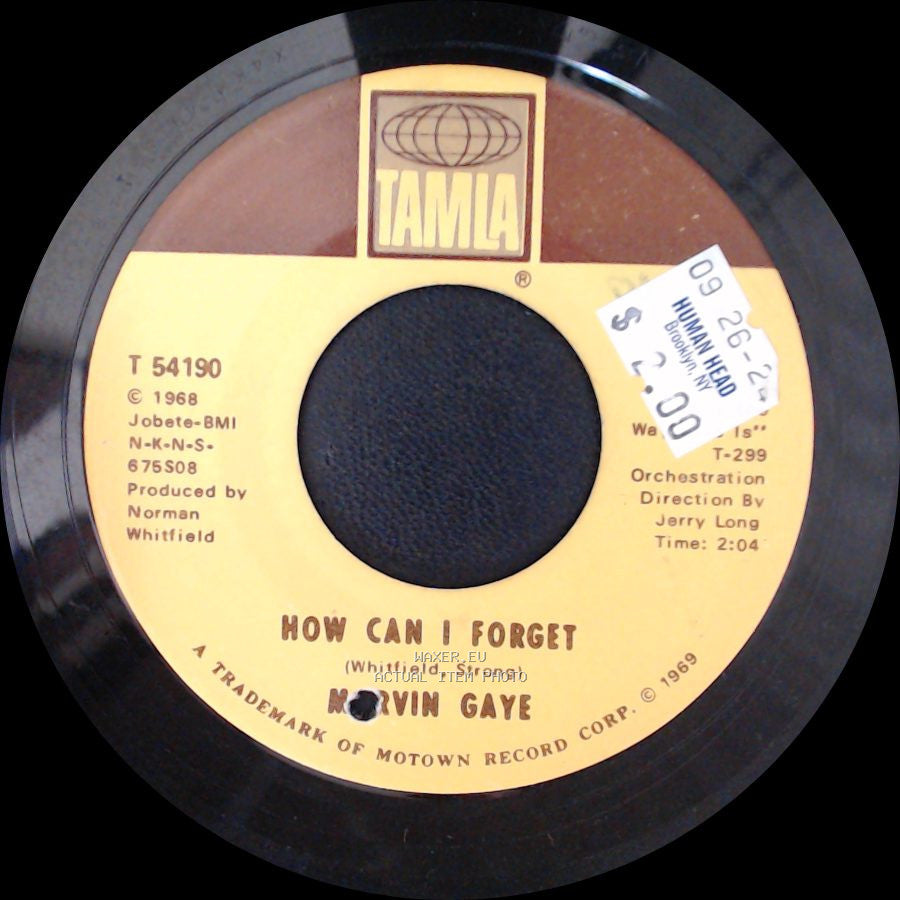Marvin Gaye - Gonna Give Her All The Love I've Got / How Can I Forget side B