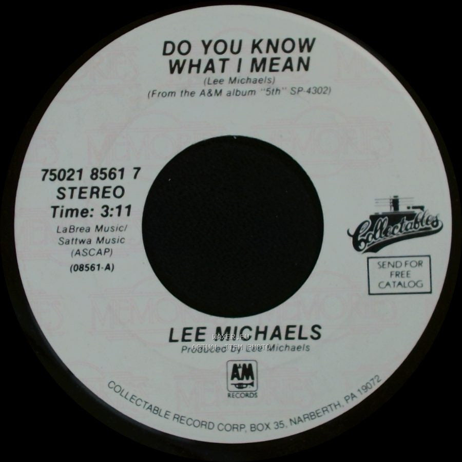 Lee Michaels - Do You Know What I Mean / Can I Get A Witness side A