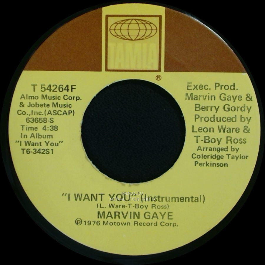 Marvin Gaye - I Want You (Instrumental) / I Want You (Instrumental) side B