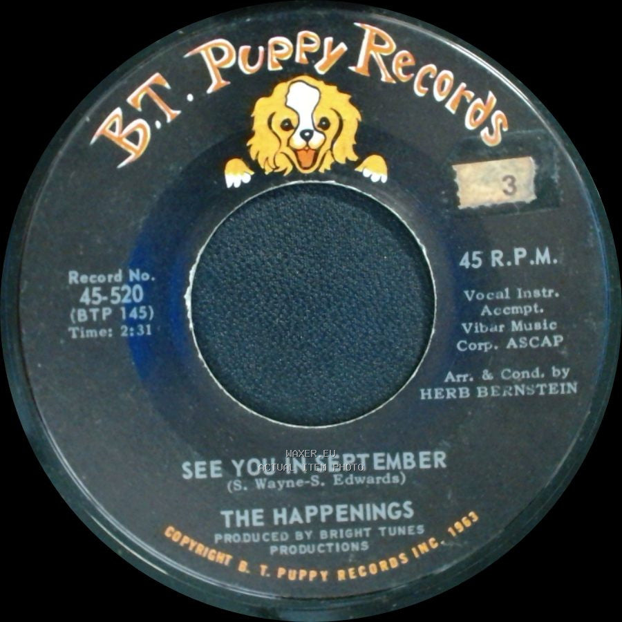 The Happenings - He Thinks He's A Hero / See You In September side B