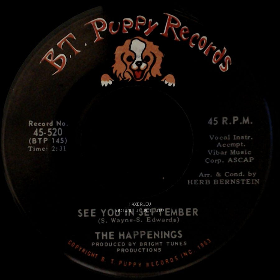 The Happenings - He Thinks He's A Hero / See You In September side B