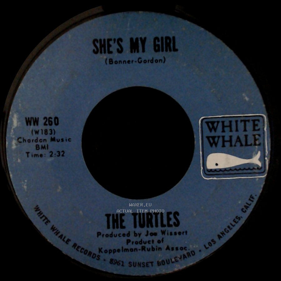 The Turtles - Chicken Little Was Right / She's My Girl side B