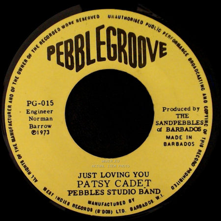 Patsy Cadet Pebbles Studio Band - Bad Situation / Just Loving You side B