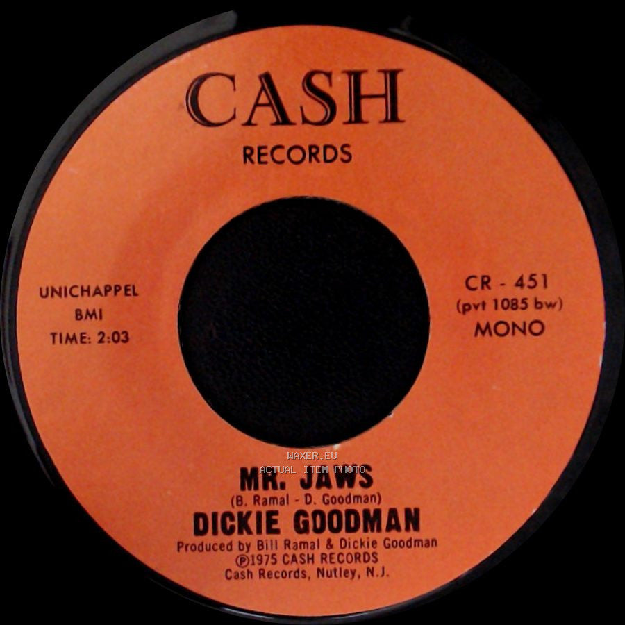 Dickie Goodman - Irv's Theme / Mr. Jaws side B
