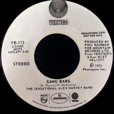 The Sensational Alex Harvey Band - Swampsnake / Gang Bang side B