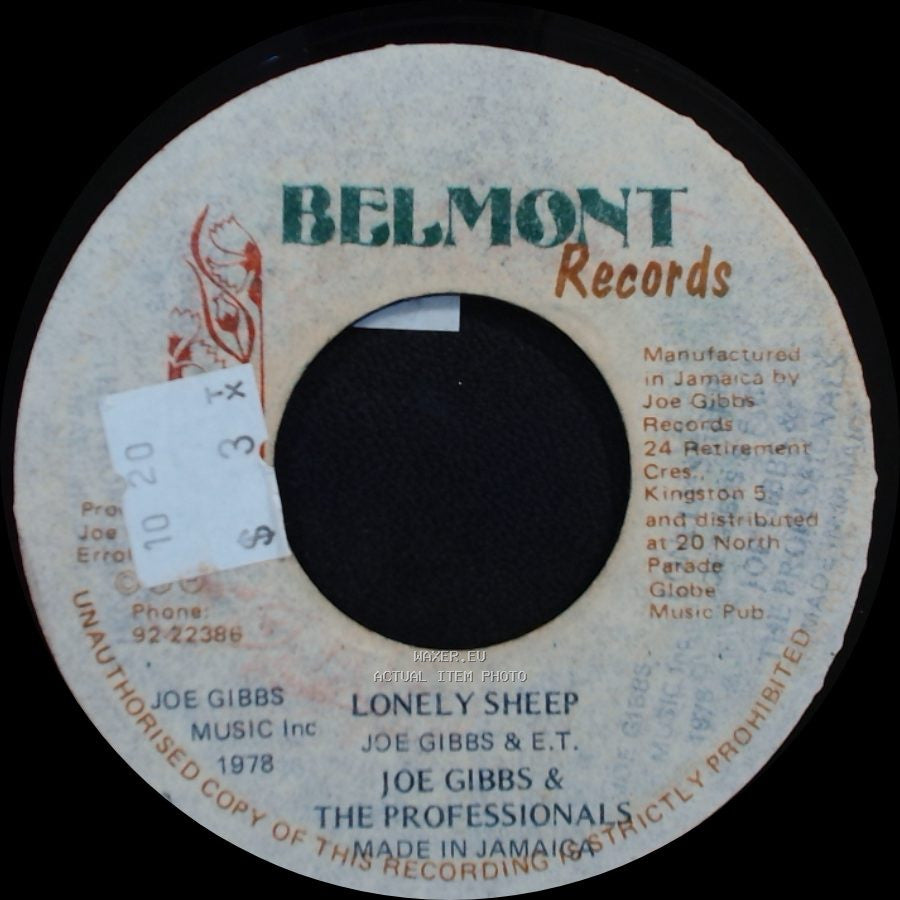 Joe Gibbs & The Professionals - Lonely Sheep / Lonely Sheep side A