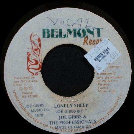 Joe Gibbs & The Professionals - Lonely Sheep / Lonely Sheep side B