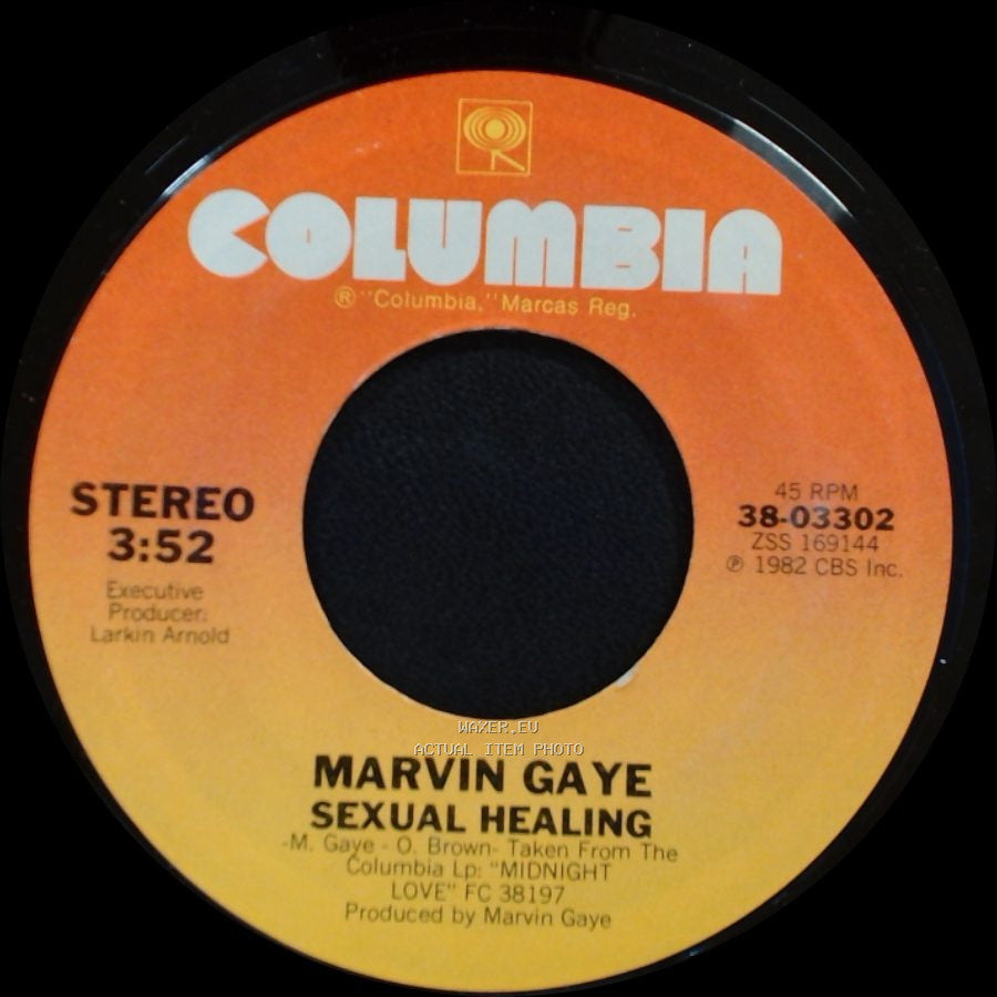 Marvin Gaye - Sexual Healing (Instrumental) / Sexual Healing side B