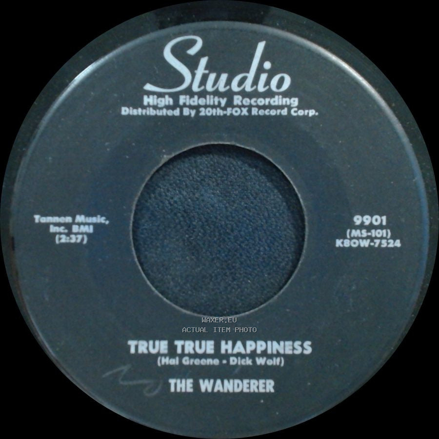 The Wanderer - True True Happiness / The Happy Hob side A