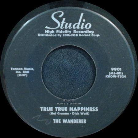 The Wanderer - True True Happiness / The Happy Hob side A