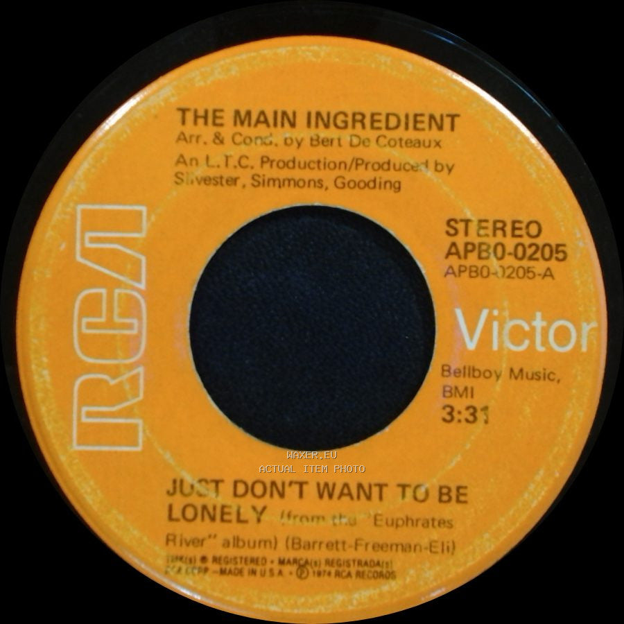The Main Ingredient - Goodbye My Love / Just Don't Want To Be Lonely side B