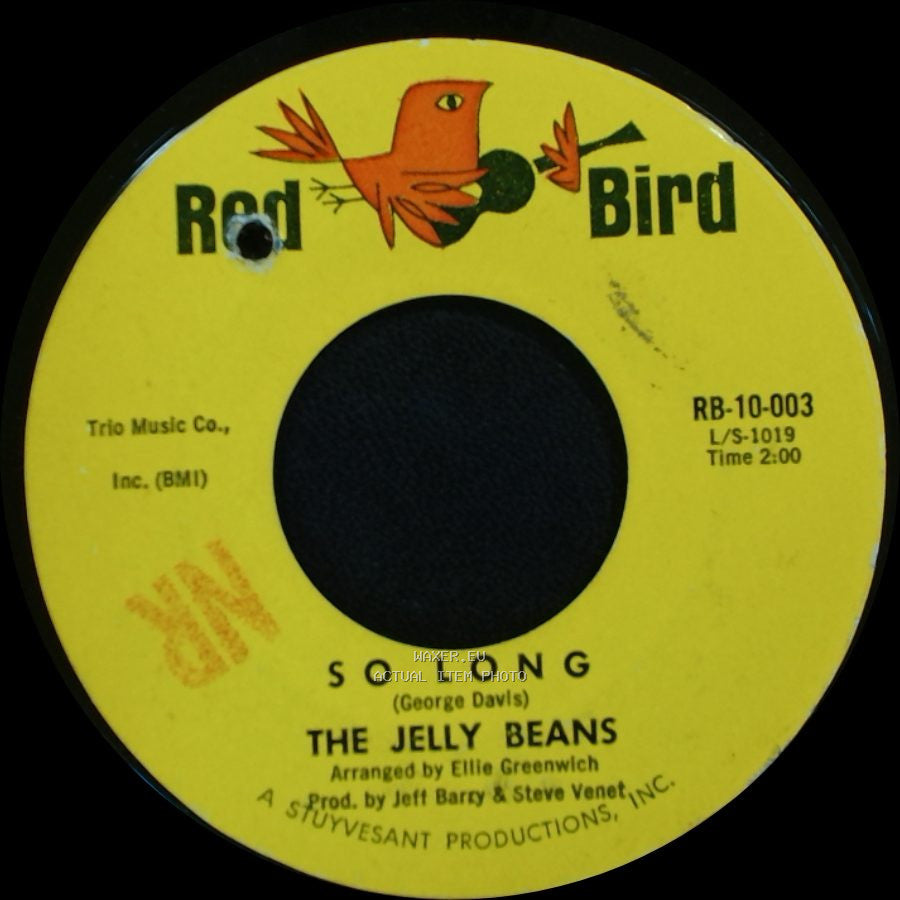 The Jelly Beans - So Long / I Wanna Love Him So Bad side A