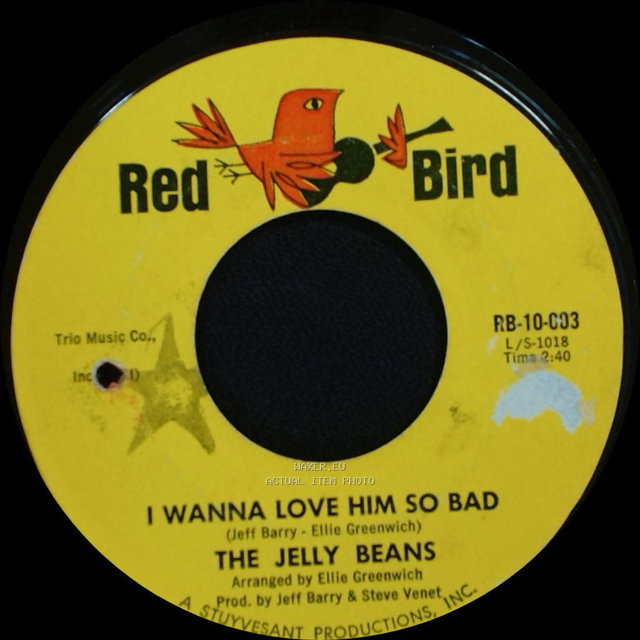 The Jelly Beans - So Long / I Wanna Love Him So Bad side B