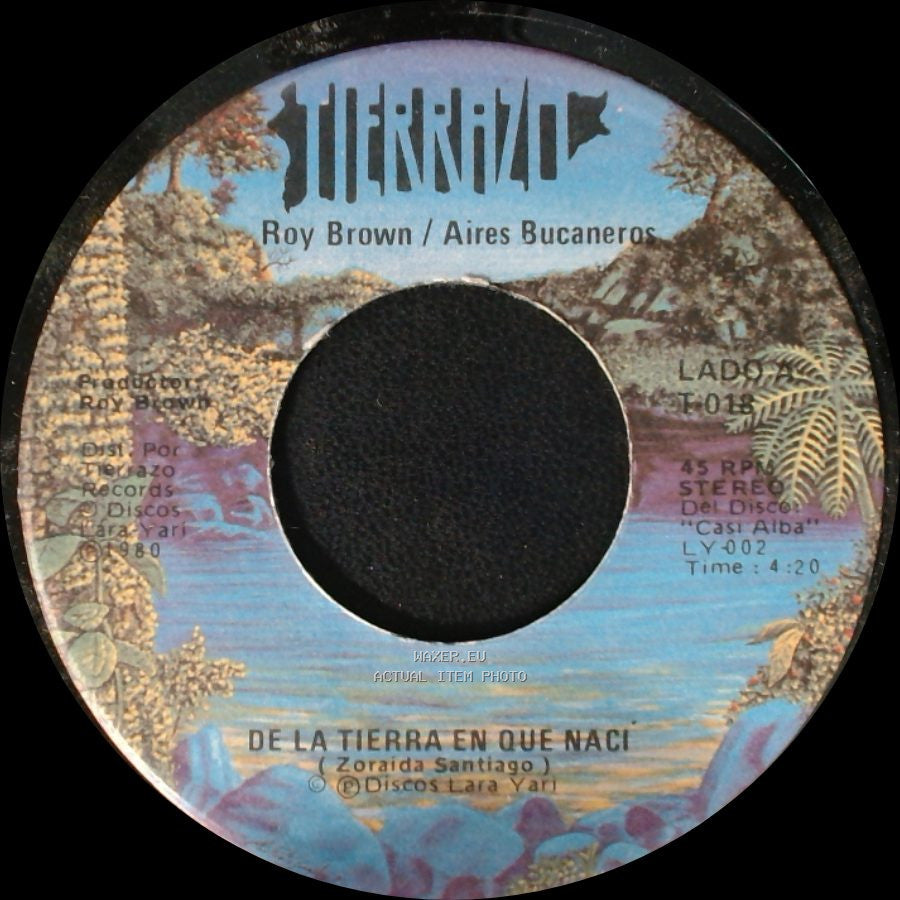Roy Brown / Aires Bucaneros - De La Tierra En Que Nací / Hoy Mi Cancion side A