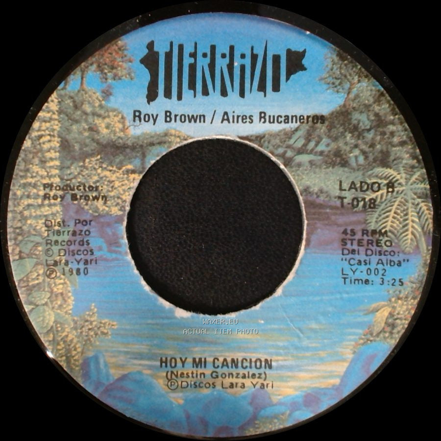 Roy Brown / Aires Bucaneros - De La Tierra En Que Nací / Hoy Mi Cancion side B