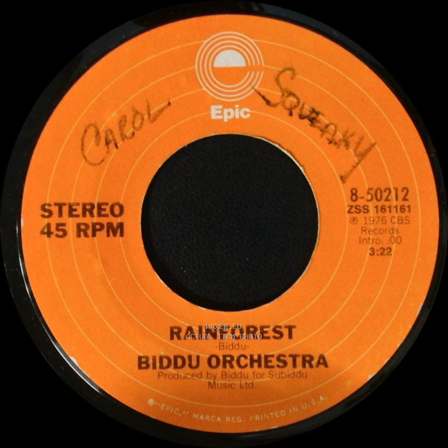 Biddu Orchestra - Hot Ice / Rainforest side B