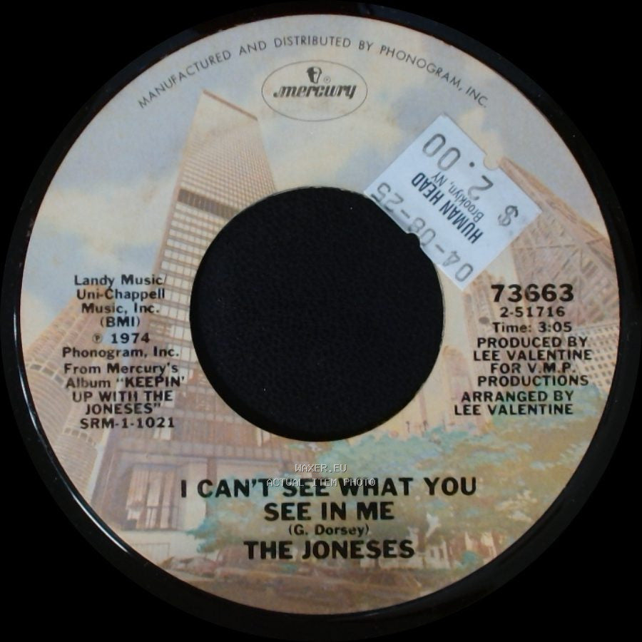 The Joneses - Our Love Song / I Can't See What You See In Me side B