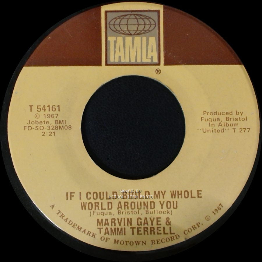 Marvin Gaye & Tammi Terrell - If I Could Build My Whole World Around You / If This World Were Mine side A