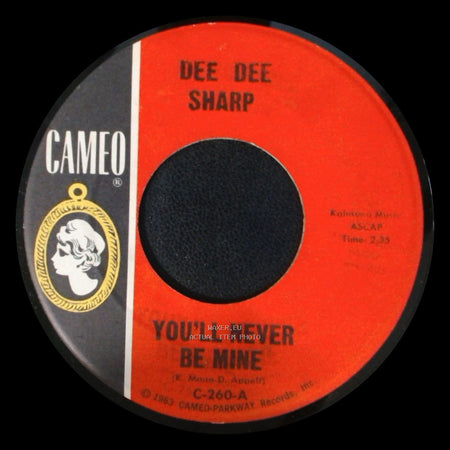 Dee Dee Sharp - Rock Me In The Cradle Of Love / You'll Never Be Mine side B