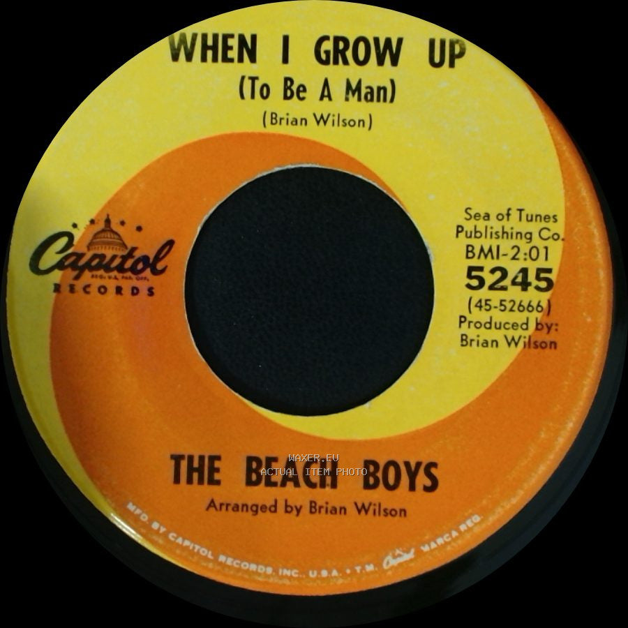 The Beach Boys - She Knows Me Too Well / When I Grow Up (To Be A Man) side B