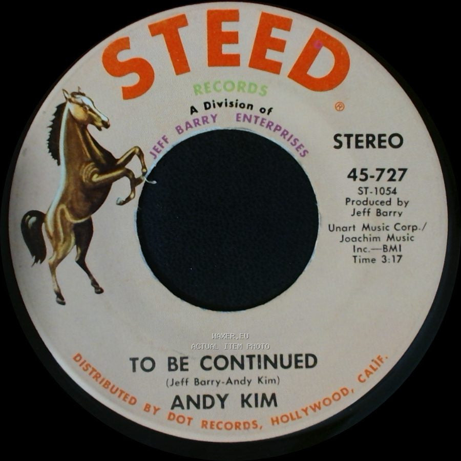 Andy Kim - To Be Continued / It's Your Life side A