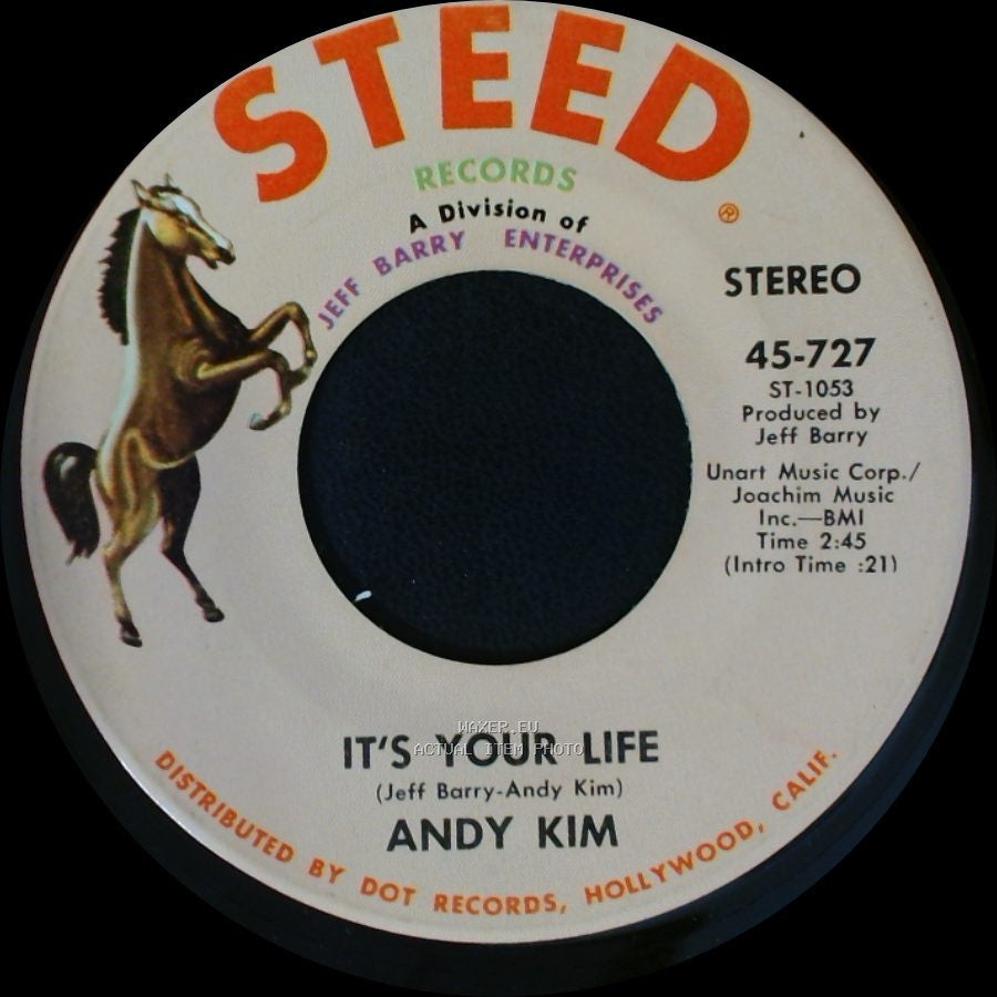 Andy Kim - To Be Continued / It's Your Life side B