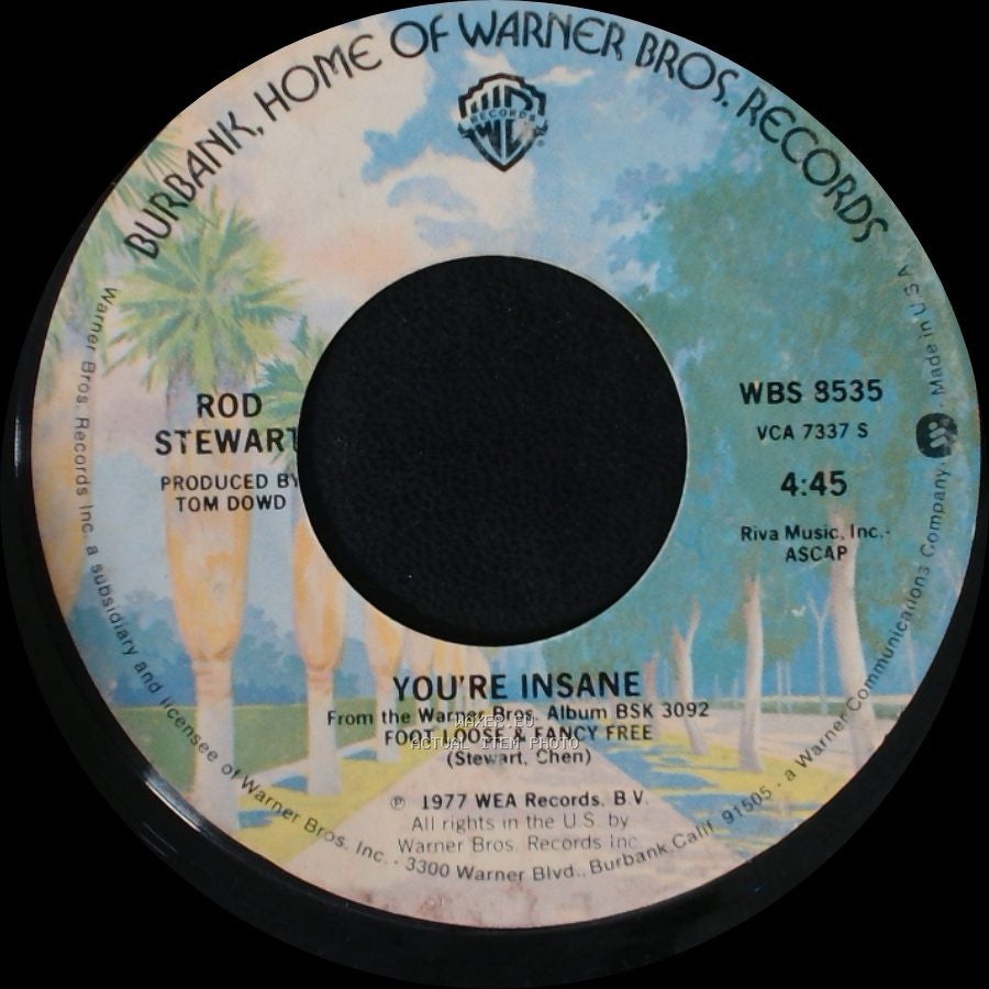 Rod Stewart - Hot Legs / You're Insane side B