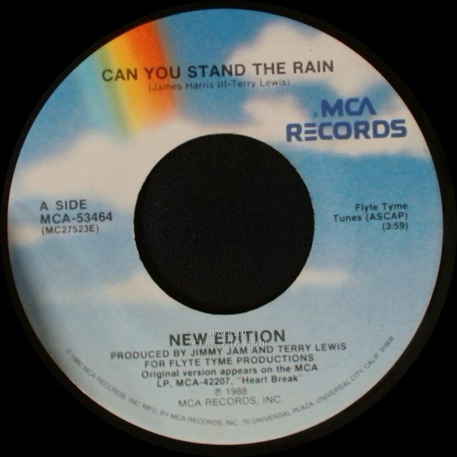 New Edition - Can You Stand The Rain / Can You Stand The Rain (Instrumental) side A