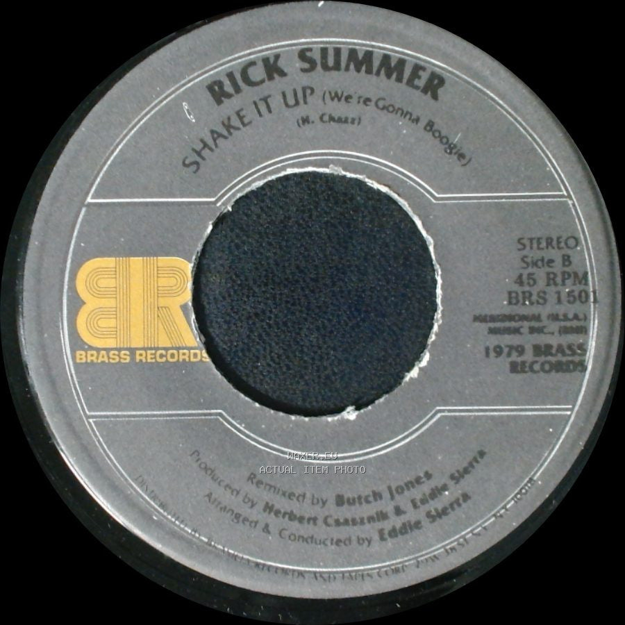 Rick Summer - Born To Be Alive / Shake It Up (We're Gonna Boogie) side B