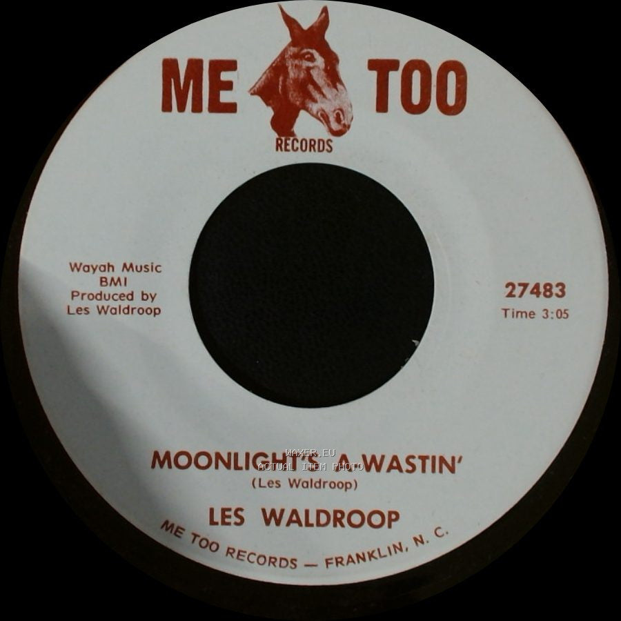 Les Waldroop - Watergate Bugs / Moonlight's A-Wastin' side B