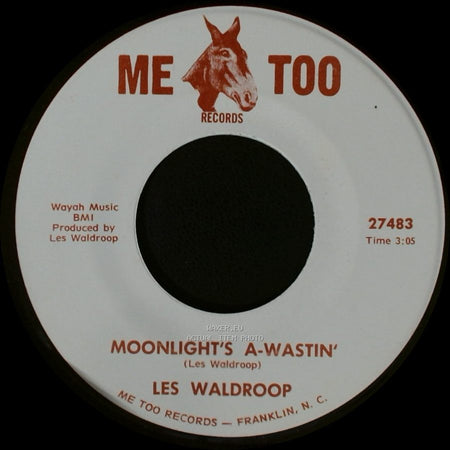 Les Waldroop - Watergate Bugs / Moonlight's A-Wastin' side B