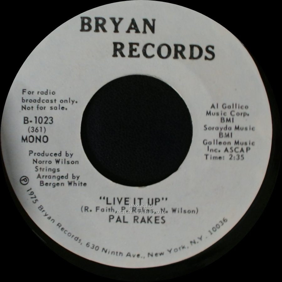 Pal Rakes - Live It Up / Live It Up side A