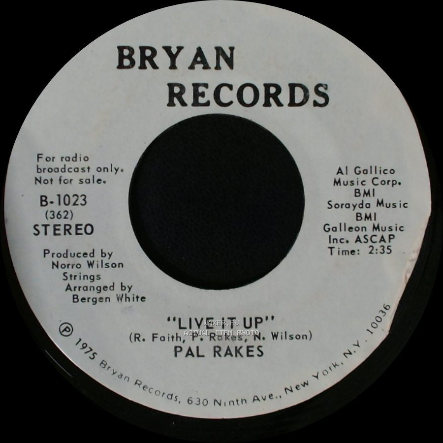 Pal Rakes - Live It Up / Live It Up side B