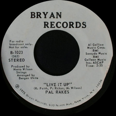 Pal Rakes - Live It Up / Live It Up side B