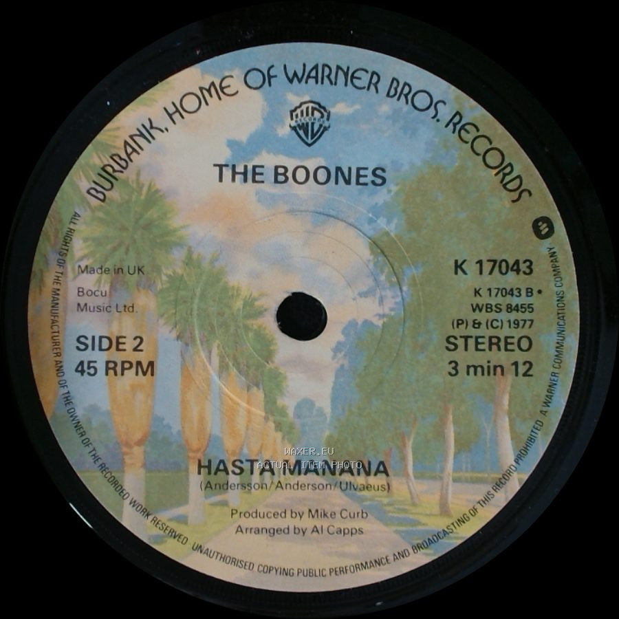 Debby Boone / The Boones - You Light Up My Life / Hasta Manana side B