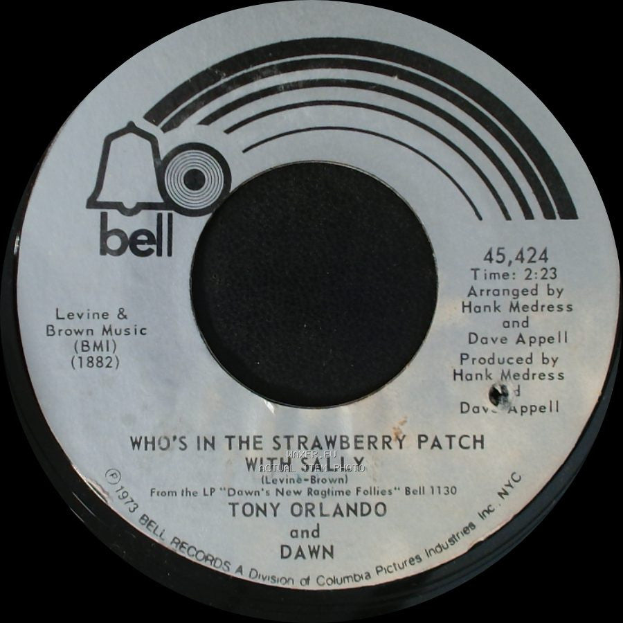 Tony Orlando And Dawn - Ukulele Man / Who's In The Strawberry Patch With Sally side B
