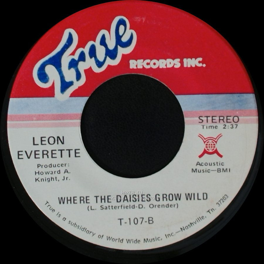 Leon Everette - Goodbye King Of Rock 'n' Roll / Where The Daisies Grow Wild side B