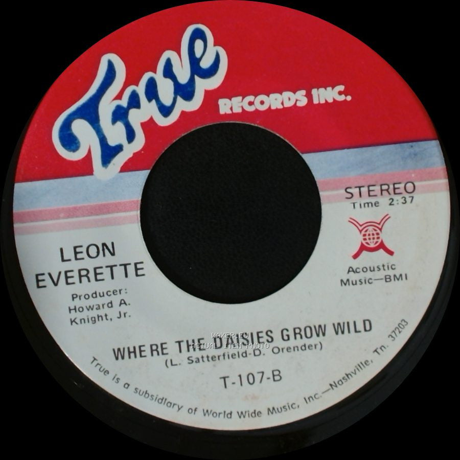 Leon Everette - Goodbye King Of Rock 'n' Roll / Where The Daisies Grow Wild side B
