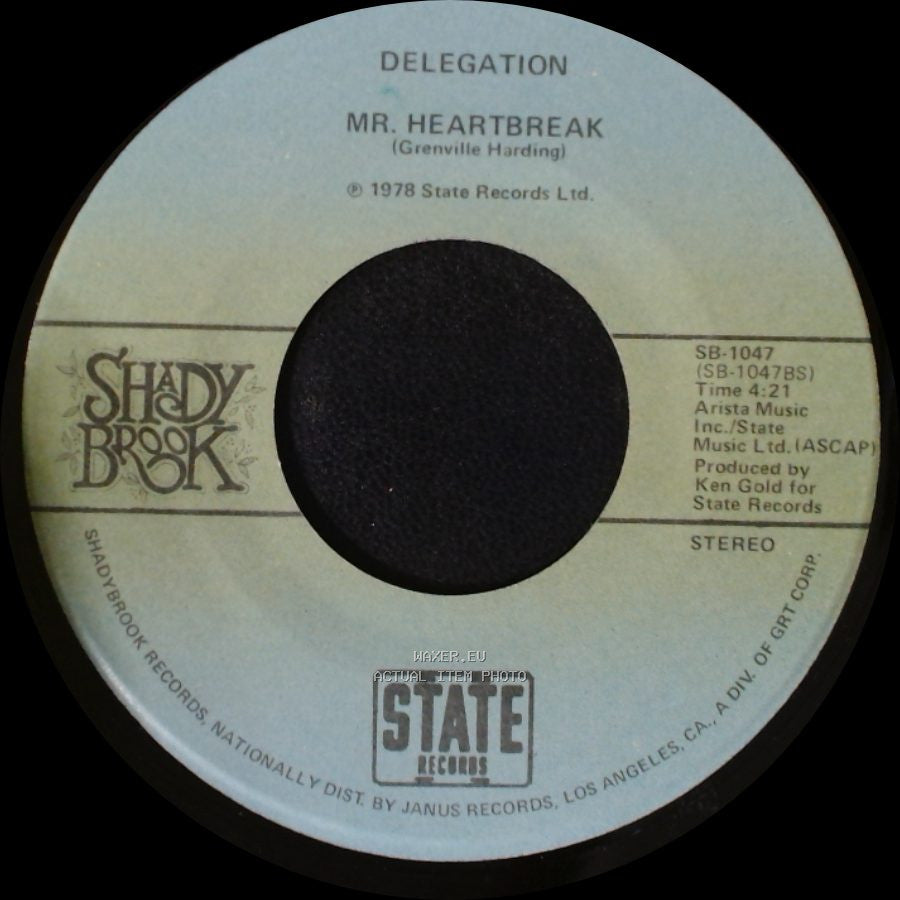 Delegation - Mr. Heartbreak / Someone Oughta Write A Song (About You Baby) side A