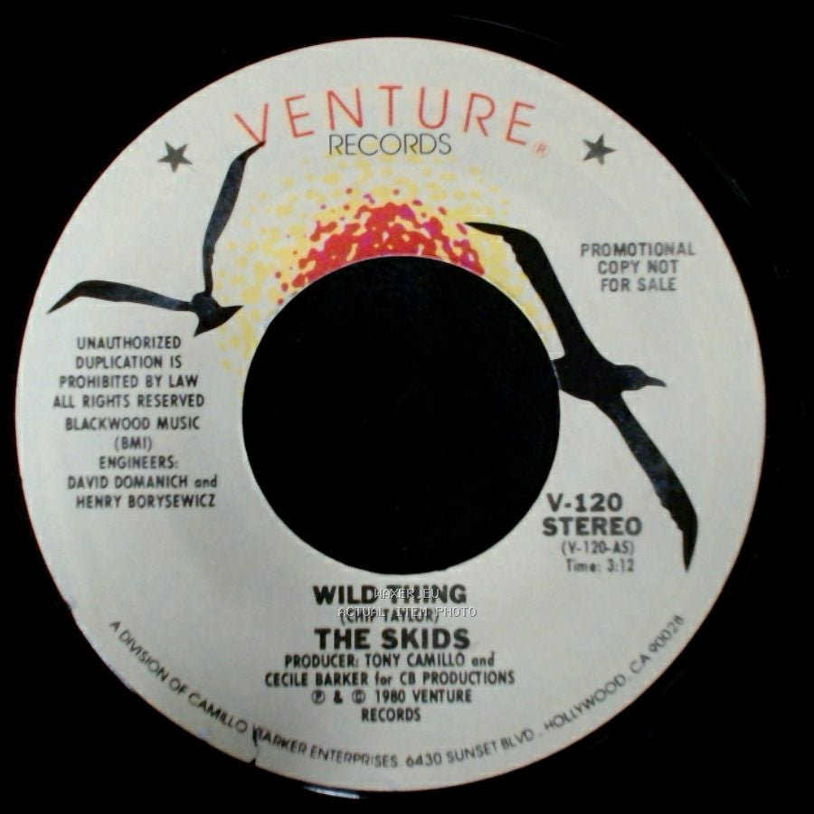 The Skids - Wild Thing / Wild Thing side B