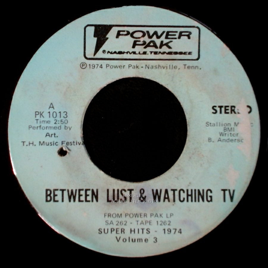 Art. T.H. Music Festival / Art. - Please Don't Tell Me How The Story Ends / Between Lust & Watching Tv side B