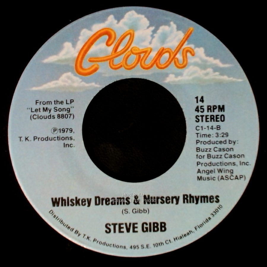 Steve Gibb - Whiskey Dreams & Nursery Rhymes / Don't Blame It On Love side A