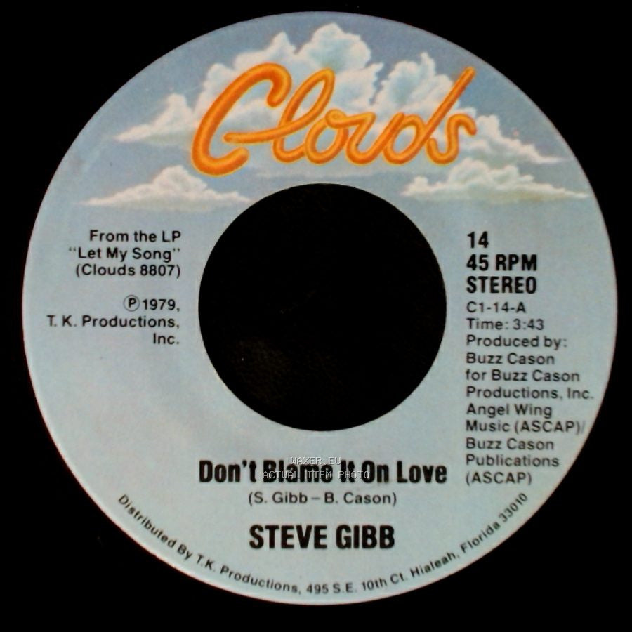 Steve Gibb - Whiskey Dreams & Nursery Rhymes / Don't Blame It On Love side B