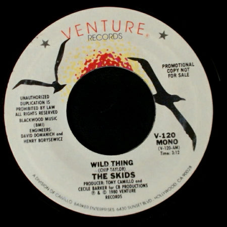 The Skids - Wild Thing / Wild Thing side B