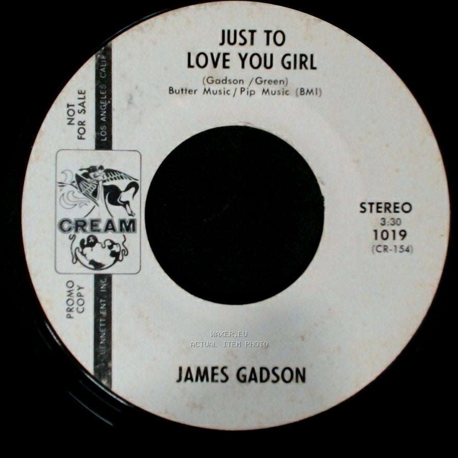 James Gadson - Good Vibrations / Just To Love You Girl side B
