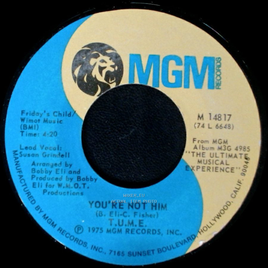 T.U.M.E. - Telling It Like It Is / You're Not Him side B